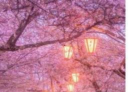 718娱乐吃瓜在线下载