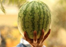 2021年娱乐吃瓜,年度吃瓜大事件盘点